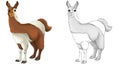 Cartoon happy scene with sketch llama animal - illustration