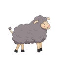 Cartoon happy sheep posing and smile vector Royalty Free Stock Photo