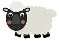 Cartoon happy sheep is standing and looking illustration Royalty Free Stock Photo