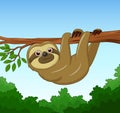 Cartoon happy sloth hanging on the tree