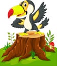 Cartoon happy toucan