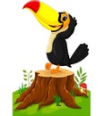 Cartoon happy toucan