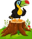 Cartoon happy toucan