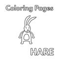 Cartoon Hare Coloring Book