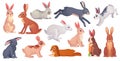 Cartoon hares poses. Wild spring gray hare with carrot, cute bunny running sleeping or standing jackrabbit, white brown