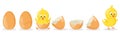 Cartoon hatched easter egg. Cracked chicken eggs with cute chicken mascot, newborn baby chick bird hatching from egg Royalty Free Stock Photo