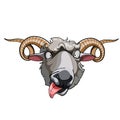 Cartoon head horned sheep