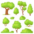 Cartoon hedge set. Garden park green bushes, gardening plants with flowers, forest vegetation, trees bush shrub with