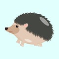 Cartoon hedgehog character on light blue background, vector isolated. Royalty Free Stock Photo