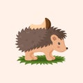 Cartoon hedgehog. Little forest animal with mushroom. Agaric on spiny needles. Cute porcupine. Woodland urchin. Funny