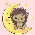 Cartoon Hedgehog is sleeping a on the Moon Royalty Free Stock Photo