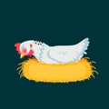 Cartoon hen is sleeping. White Chicken is hatching the egg in the coop. Vector illustration