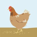 Cartoon hen vector illustration