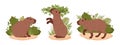 Cartoon herbivore capybara. Wild mammals in natural habitat. Semi-aquatic animals flat vector illustration set