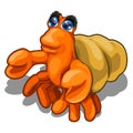 Cartoon hermit crab isolated on white background. Vector close-up cartoon illustration. Royalty Free Stock Photo