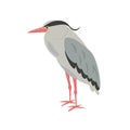 Cartoon heron icon on white background.