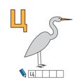 Cartoon Heron Illustration with Russian Alphabet