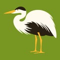 Cartoon heron ,vector illustration, profile