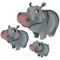 Cartoon hippo on white background. Vector animals Royalty Free Stock Photo