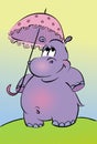 Cartoon hippopotamus Royalty Free Stock Photo