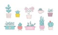 Cartoon home plants in flowerpot vector illustrations. Trendy home decor, urban jungle, cute houseplants, for stickers Royalty Free Stock Photo