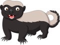 Cartoon honey badger Royalty Free Stock Photo