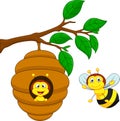 Cartoon a honey bee and comb Royalty Free Stock Photo