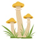 Cartoon honey fungus icon. Wild nature element
