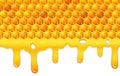 Cartoon honeycomb with honey dripping Royalty Free Stock Photo