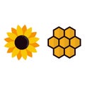 Cartoon honeycomb and sunflower