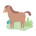 Cartoon horse animal standing grass bush isolated white background design Royalty Free Stock Photo