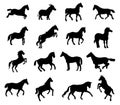 Cartoon Horse collection set isolated Vector Silhouettes Royalty Free Stock Photo