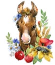 Cartoon horse. farm animal illustration. cute watercolor foal