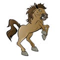 Cartoon horse or stallion Royalty Free Stock Photo