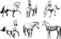 Cartoon Horses Different Poses In Gray Colors. Vector Hand Drawn Collection Set