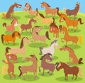 Cartoon horses farm animals comic characters group Royalty Free Stock Photo