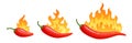 Cartoon hot peppers. Spicy pepper with fire flames and flames red chili vector icons set Royalty Free Stock Photo