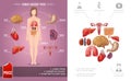 Cartoon Human Anatomy Colorful Concept Royalty Free Stock Photo
