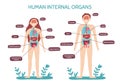 Cartoon human body anatomy. Male and female internal organs, humans physiology chart vector illustration