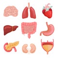 Cartoon human body organs. Healthy digestive, circulatory. Organ anatomy icons for medical chart vector set Royalty Free Stock Photo