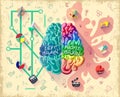 Cartoon Human Brain Diagram Concept