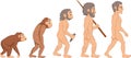Cartoon human evolution Royalty Free Stock Photo