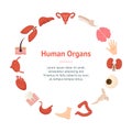 Cartoon Human Internal Organs Banner Card Circle. Vector