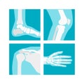 Cartoon Human Joints Set. Vector