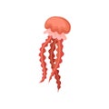 Bright red jellyfish. Marine creature. Sea animal with long tentacles. Underwater life theme. Flat vector design Royalty Free Stock Photo