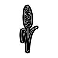 cartoon icon drawing of fresh corn on the cob Royalty Free Stock Photo