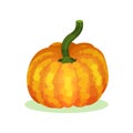 Flat vector icon of large orange-yellow pumpkin with green stem. Agricultural crop. Organic and healthy food Royalty Free Stock Photo