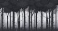 Cartoon illustration of background forest. Bright forest woods, silhouttes, trees with bushes, ferns and flowers. For