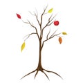 Cartoon illustration of bare apple tree isolated on white background. tree no leaves isolated. flat cartoon style. Autumn fall Royalty Free Stock Photo