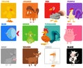 Basic colors set with funny animal characters